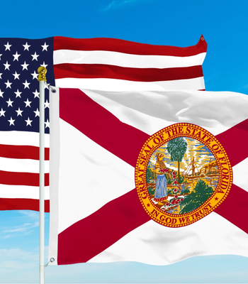 Flag of Brandon, Florida and the USA